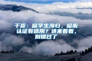 干货：留学生海归，留服认证有啥用？进来看看，别错过了