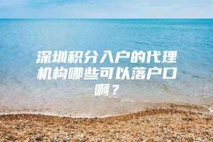 深圳积分入户的代理机构哪些可以落户口啊？