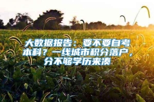 大数据报告：要不要自考本科？一线城市积分落户，分不够学历来凑