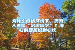 为什么疫情环境下，仍有人选择“出国留学”？海归的回答说到心坎