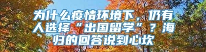 为什么疫情环境下，仍有人选择“出国留学”？海归的回答说到心坎