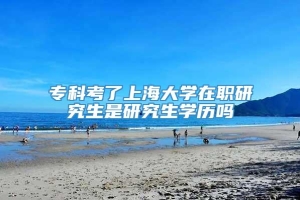 专科考了上海大学在职研究生是研究生学历吗