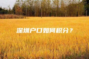 深圳户口如何积分？