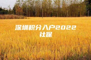 深圳积分入户2022社保