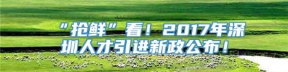 “抢鲜”看！2017年深圳人才引进新政公布！