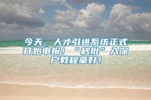 今天，人才引进系统正式开始申报！“秒批”入深户教程拿好！