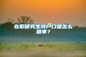 在职研究生转户口是怎么回事？