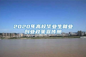 2020年高校毕业生就业创业政策宣传册