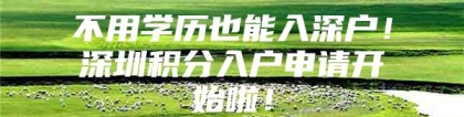 不用学历也能入深户！深圳积分入户申请开始啦！