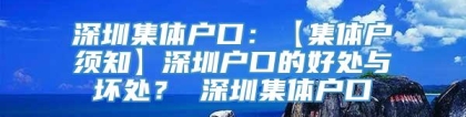 深圳集体户口：【集体户须知】深圳户口的好处与坏处？ 深圳集体户口