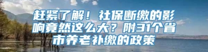 赶紧了解！社保断缴的影响竟然这么大？附31个省市养老补缴的政策