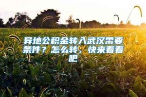 异地公积金转入武汉需要条件？怎么转，快来看看吧