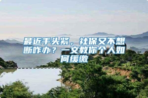 最近手头紧，社保又不想断咋办？一文教你个人如何缓缴