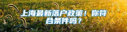 上海最新落户政策！你符合条件吗？