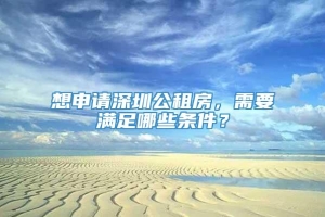 想申请深圳公租房，需要满足哪些条件？