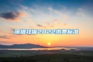 深圳社保2022缴费标准