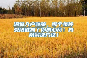 深圳入户政策，哪个条件受限戳痛了你的心窝！内附解决方法！