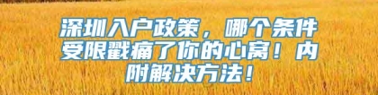 深圳入户政策，哪个条件受限戳痛了你的心窝！内附解决方法！