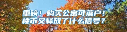 重磅！购买公寓可落户！楼市又释放了什么信号？