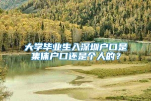 大学毕业生入深圳户口是集体户口还是个人的？