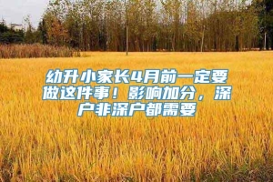 幼升小家长4月前一定要做这件事！影响加分，深户非深户都需要