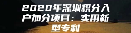 2020年深圳积分入户加分项目：实用新型专利