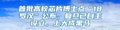 首批高校芯片博士点“18罗汉”公布，复旦已自主设立，上大成黑马