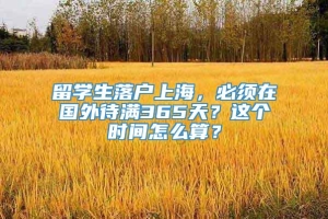 留学生落户上海，必须在国外待满365天？这个时间怎么算？