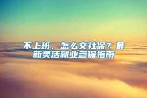 不上班，怎么交社保？最新灵活就业参保指南