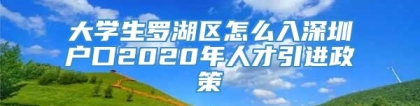 大学生罗湖区怎么入深圳户口2020年人才引进政策