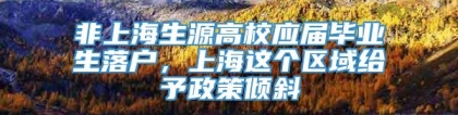 非上海生源高校应届毕业生落户，上海这个区域给予政策倾斜