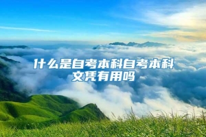 什么是自考本科自考本科文凭有用吗