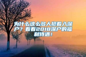 为什么这么多人抢着入深户？看看2018深户的福利待遇！