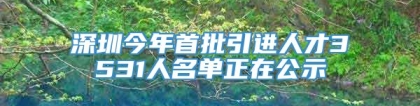 深圳今年首批引进人才3531人名单正在公示