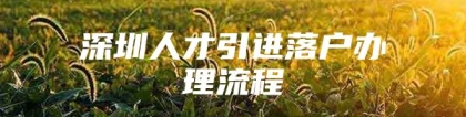 深圳人才引进落户办理流程