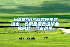 上海某985副教授年薪流出，公积金是普通毕业生月薪，网友羡慕