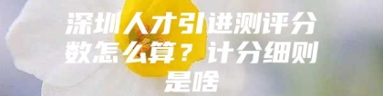 深圳人才引进测评分数怎么算？计分细则是啥