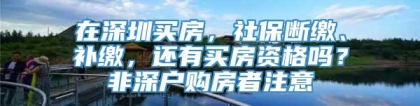 在深圳买房，社保断缴、补缴，还有买房资格吗？非深户购房者注意