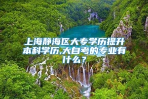 上海静海区大专学历提升本科学历,大自考的专业有什么？