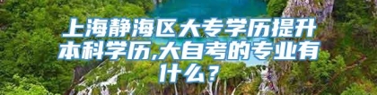 上海静海区大专学历提升本科学历,大自考的专业有什么？