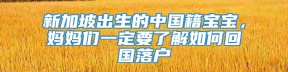 新加坡出生的中国籍宝宝，妈妈们一定要了解如何回国落户