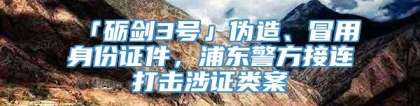 「砺剑3号」伪造、冒用身份证件，浦东警方接连打击涉证类案