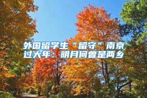 外国留学生“留守”南京过大年：明月何曾是两乡