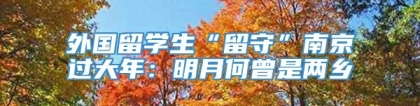 外国留学生“留守”南京过大年：明月何曾是两乡