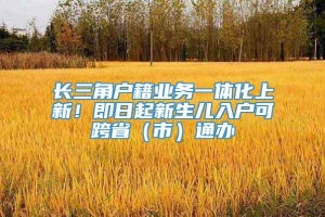 长三角户籍业务一体化上新！即日起新生儿入户可跨省（市）通办