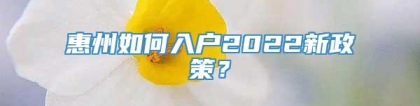 惠州如何入户2022新政策？