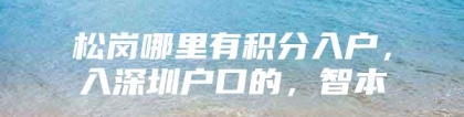 松岗哪里有积分入户，入深圳户口的，智本