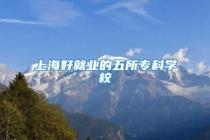 上海好就业的五所专科学校