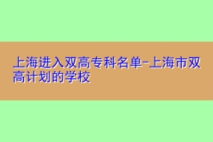 上海进入双高专科名单-上海市双高计划的学校