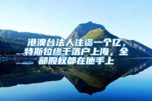 港澳台法人注资一个亿，特斯拉终于落户上海，全部股权都在他手上